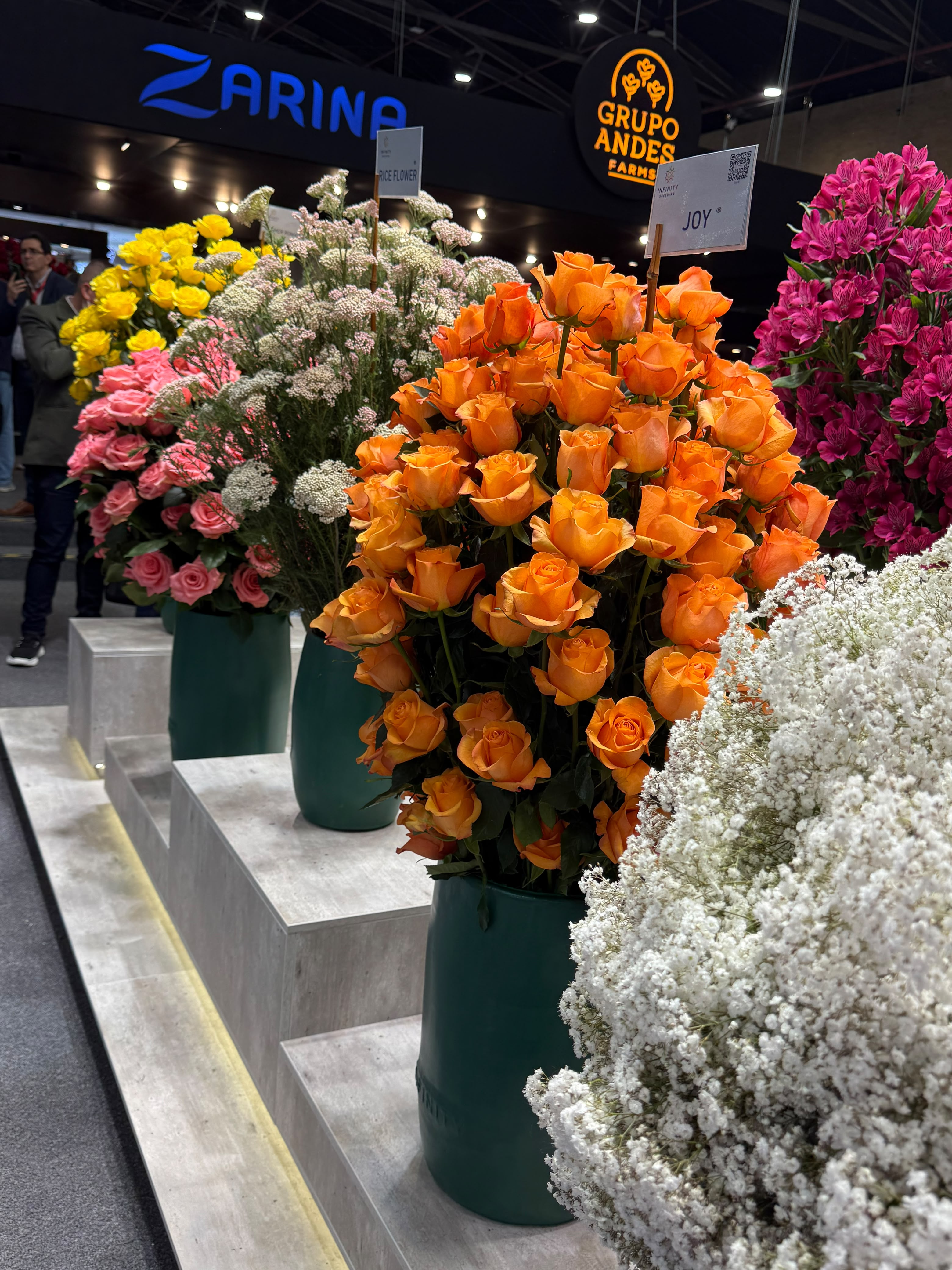Innovaflor en la feria Proflora, Bogotá Colombia